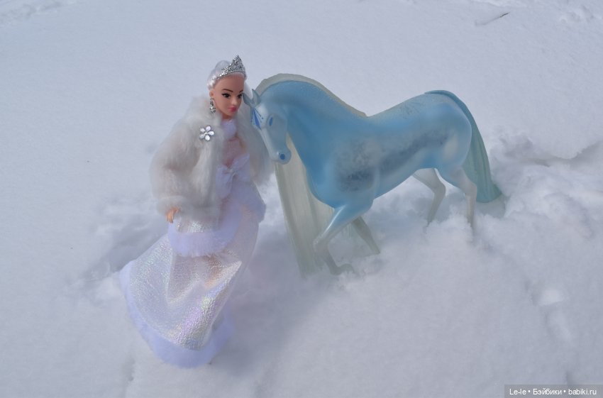 Прогулка с Нордом — Аналоги Барби и куклы 1/6: клоны 90 (фото 3)