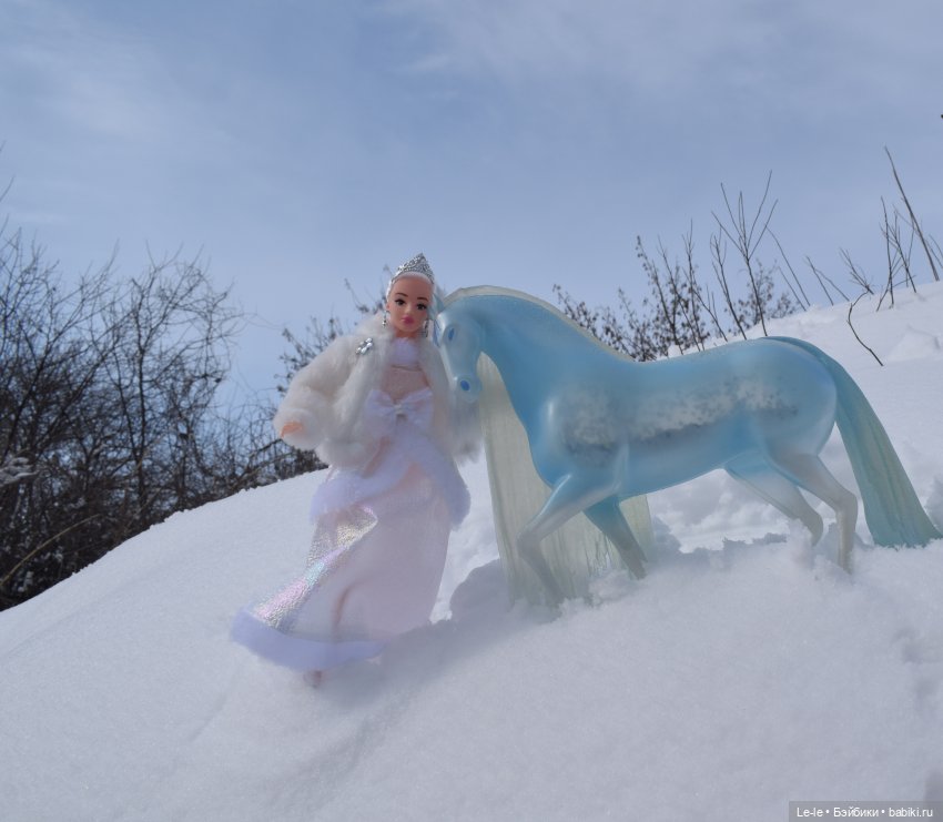 Прогулка с Нордом — Аналоги Барби и куклы 1/6: клоны 90 (фото 7)