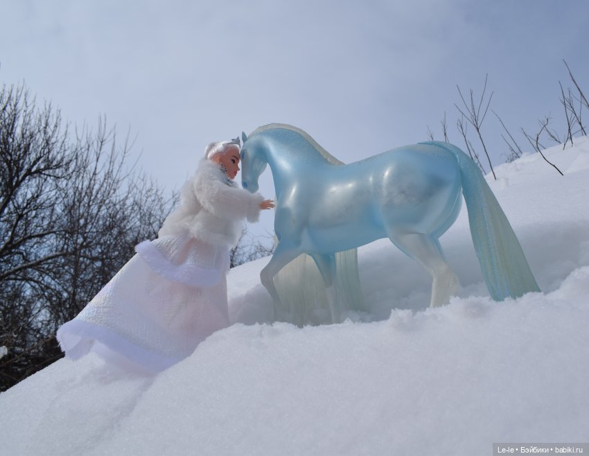 Прогулка с Нордом — Аналоги Барби и куклы 1/6: клоны 90 (фото 9)