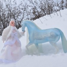 Прогулка с Нордом