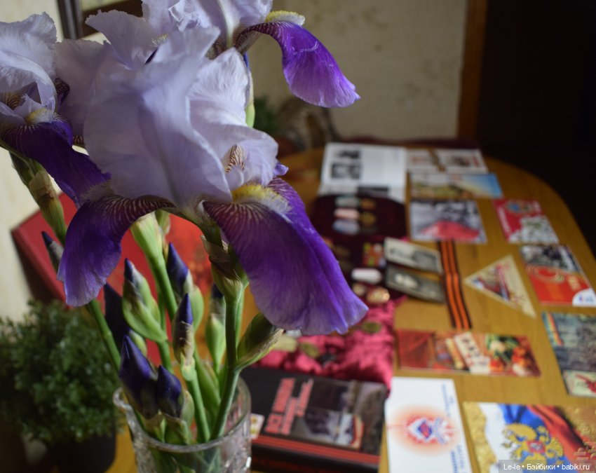 Реликвии нашей семьи — Культура (фото 3)