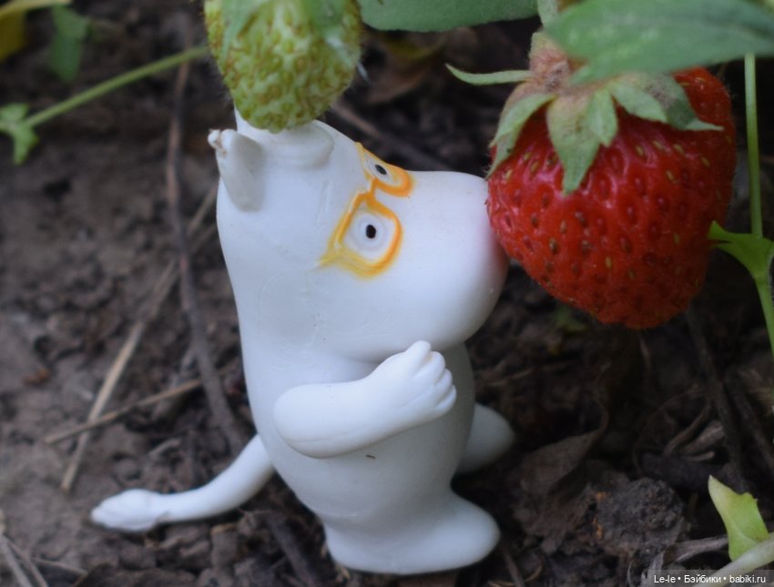 Как мои малявки к Мире в гости ходили (фото 2)