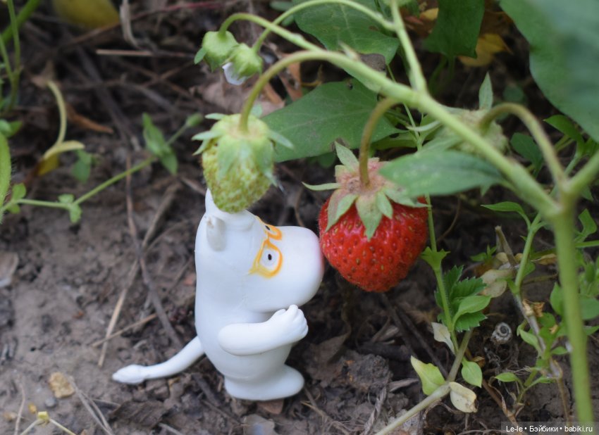 Как мои малявки к Мире в гости ходили