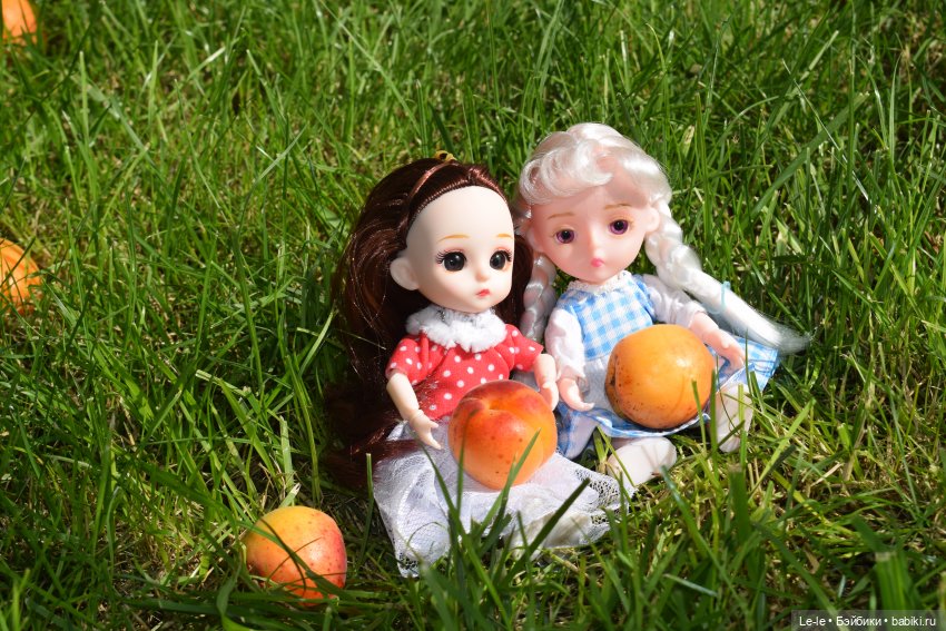 Праздник урожая — Куклы Baboliy (Баболи (фото 10)