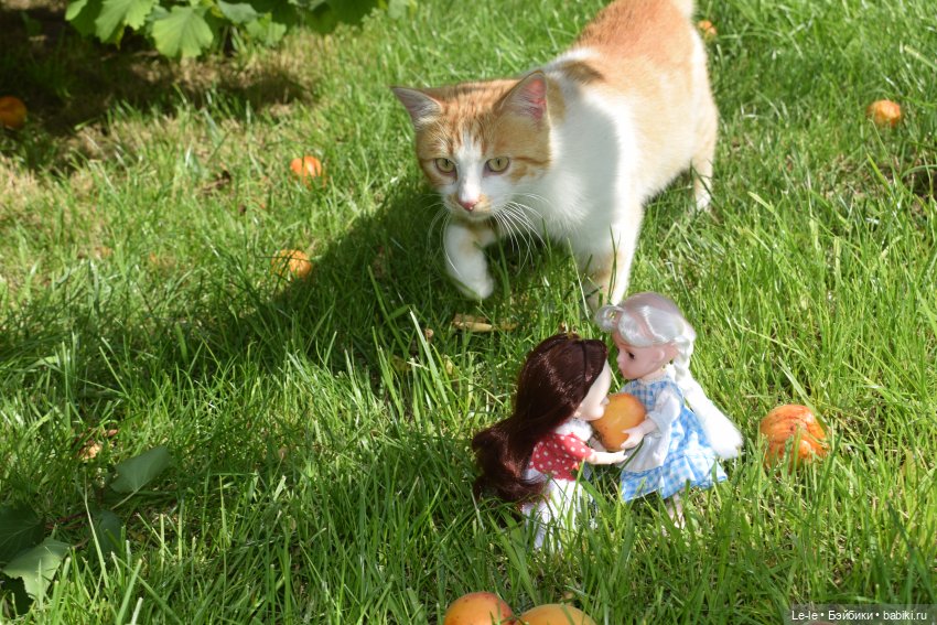 Праздник урожая — Куклы Baboliy (Баболи (фото 8)