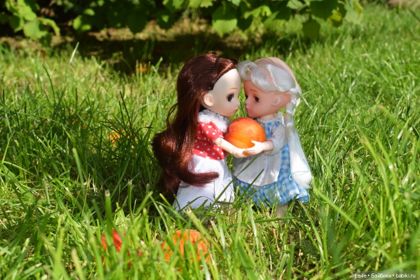 Праздник урожая — Куклы Baboliy (Баболи (фото 9)