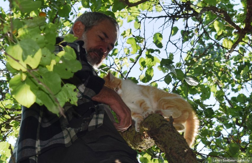 Праздник урожая — Куклы Baboliy (Баболи (фото 4)