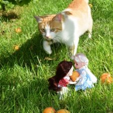 Праздник урожая