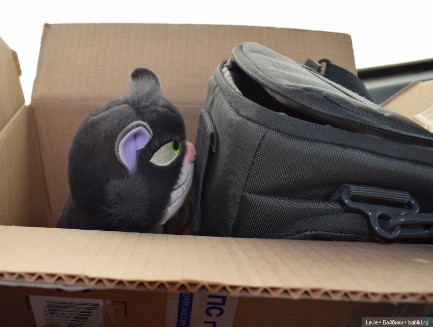 Мистер Ворч собственной персоной | Бэйбики Мистер Ворч собственной персоной (фото 8)