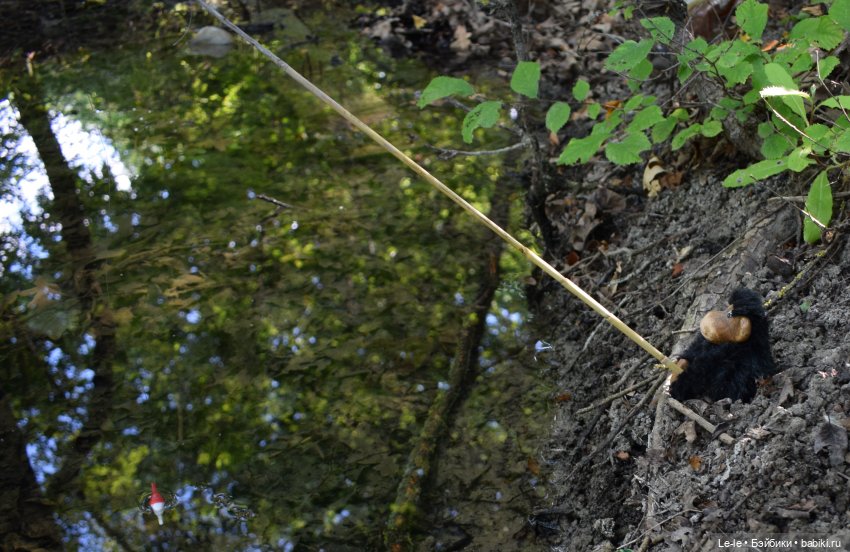 Анекдоты с бородой — Интересное и необычное: фотоподборки (фото 2)