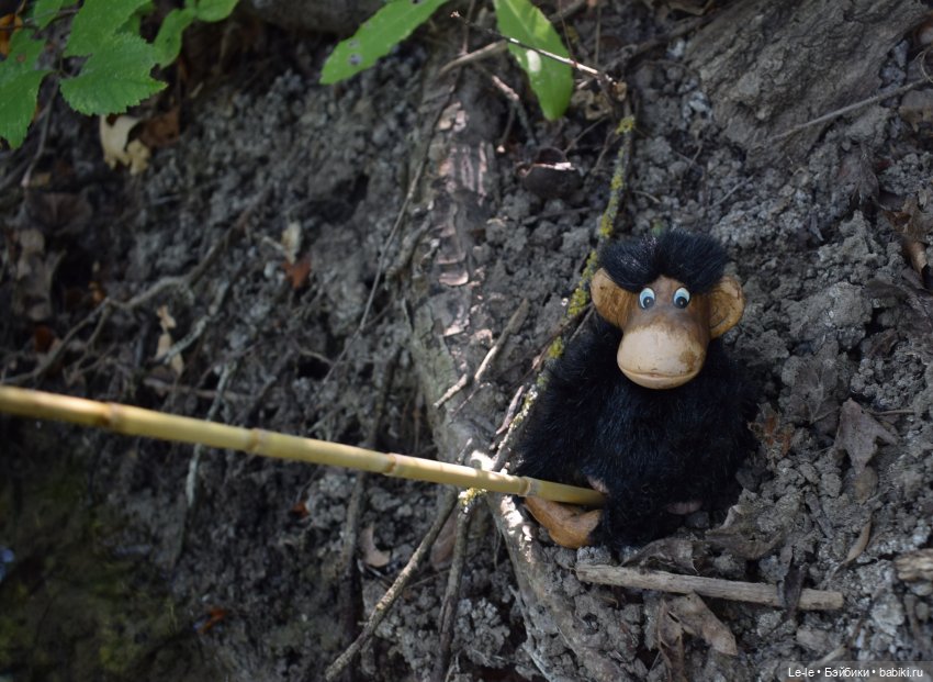 Анекдоты с бородой — Интересное и необычное: фотоподборки (фото 5)