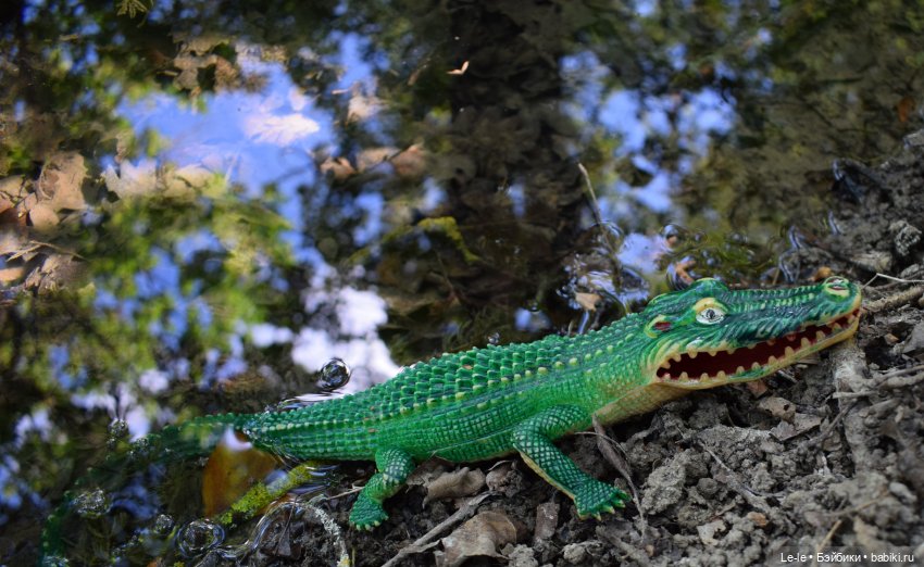 Анекдоты с бородой — Интересное и необычное: фотоподборки (фото 6)