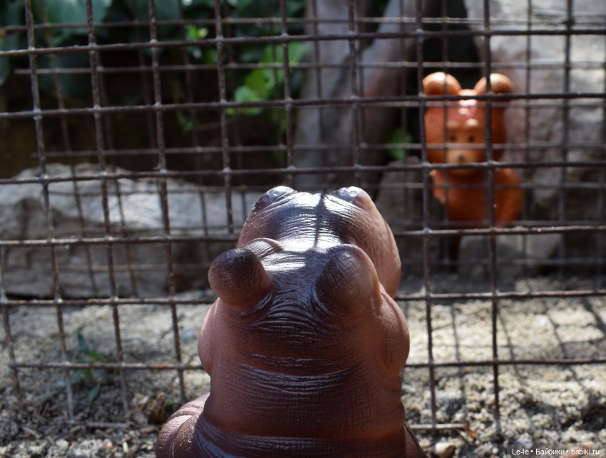 Анекдоты с бородой — Интересное и необычное: фотоподборки (фото 9)