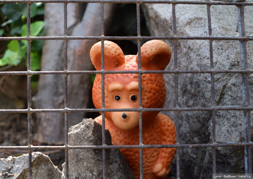 Анекдоты с бородой — Интересное и необычное: фотоподборки (фото 10)