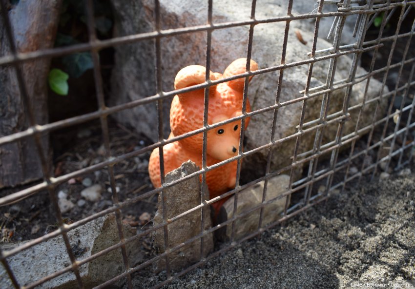 Анекдоты с бородой — Интересное и необычное: фотоподборки (фото 8)