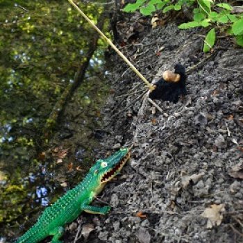 Анекдоты с бородой