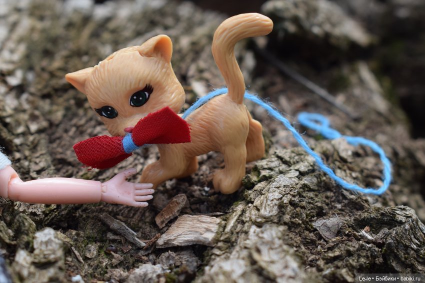 Мурзик - тот ещё кадр — Другие мини (фото 7)