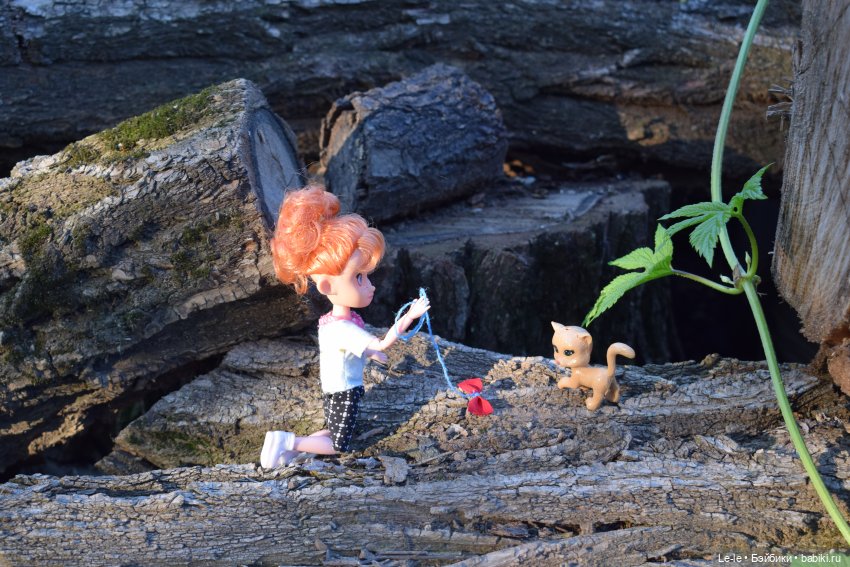 Мурзик - тот ещё кадр — Другие мини (фото 3)