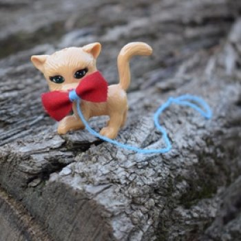 Мурзик - тот ещё кадр