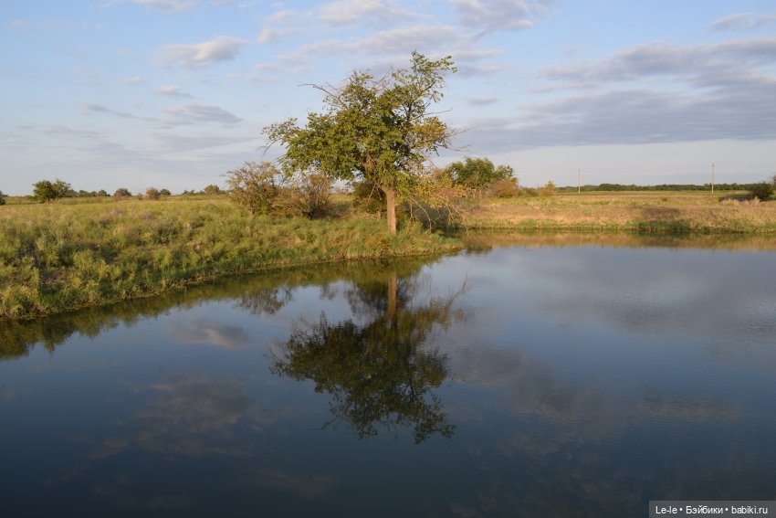 Нюрочка и Антоша на рыбалке (фото 4)
