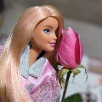 Розовые розы