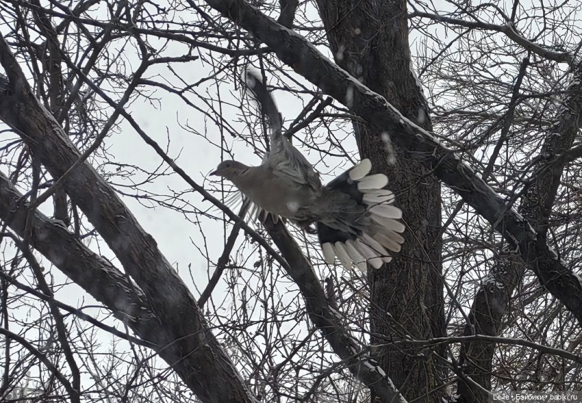ФотоЧетверг. Первые фото 2026 года (фото 9)