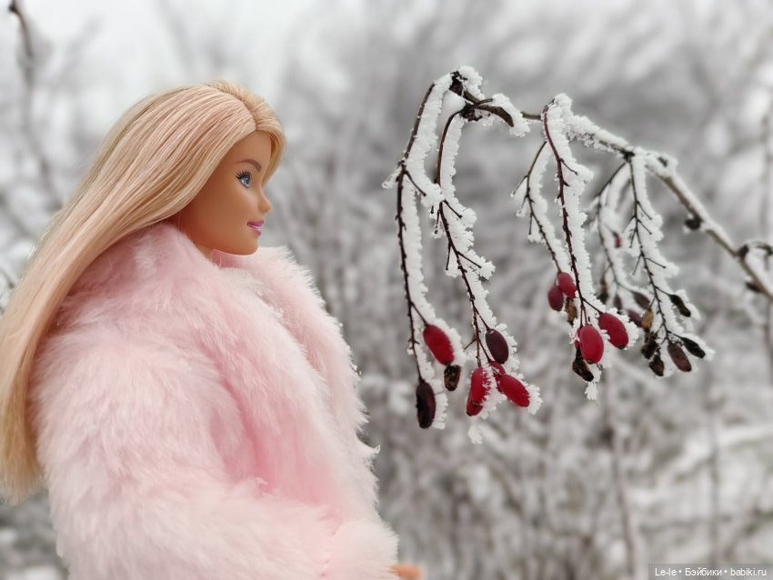 Снег и иней — Куклы Barbie (Барби): Looks (фото 9)