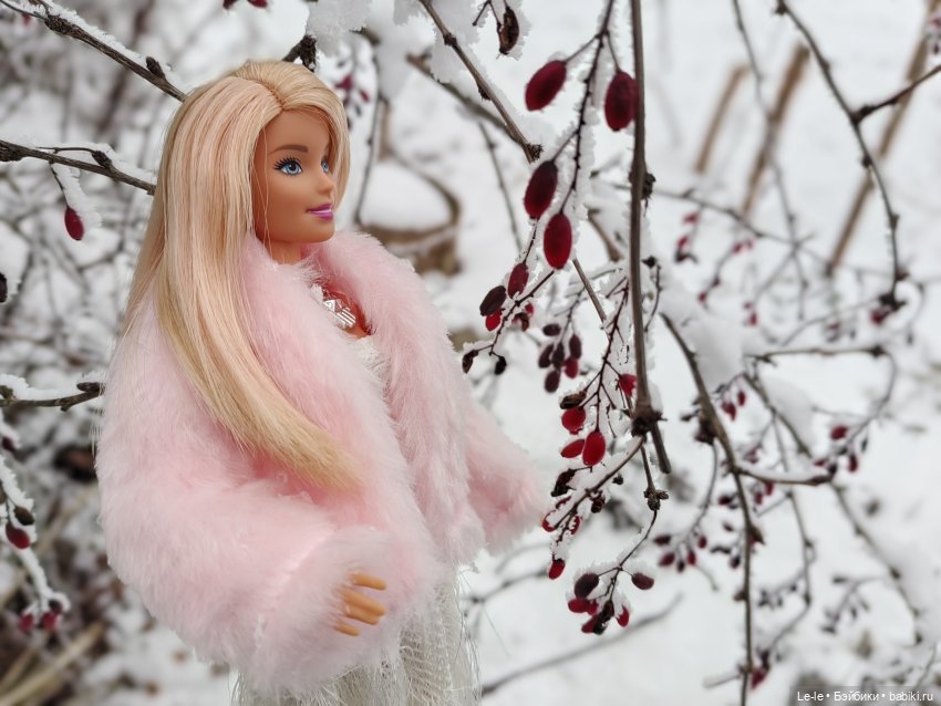 Снег и иней — Куклы Barbie (Барби): Looks (фото 8)