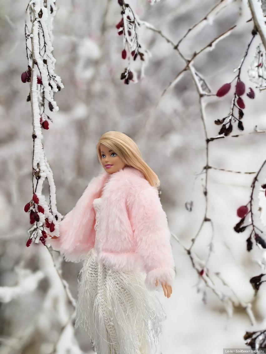 Снег и иней — Куклы Barbie (Барби): Looks (фото 6)