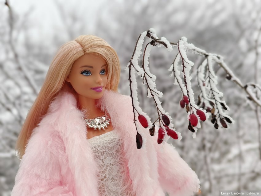 Снег и иней — Куклы Barbie (Барби): Looks (фото 10)