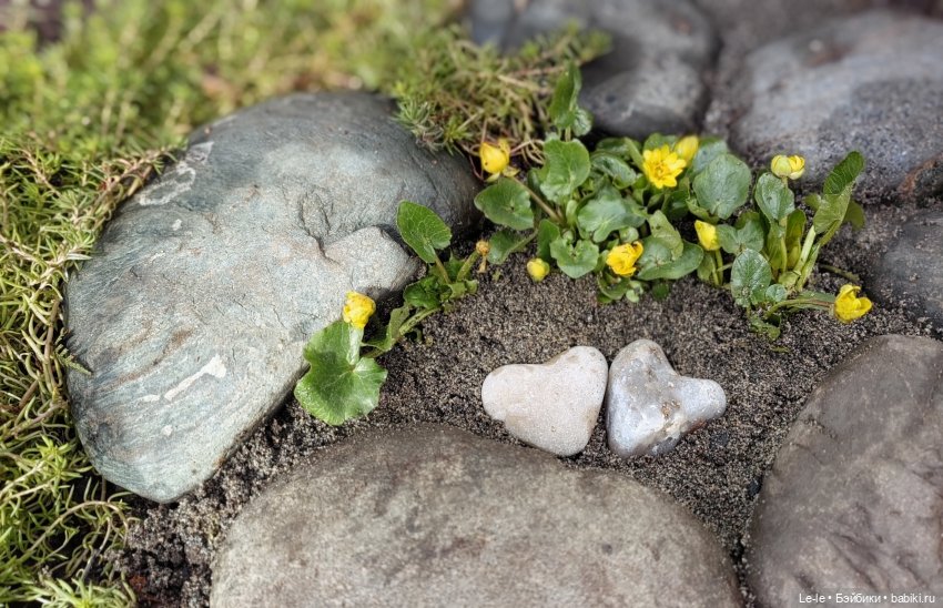 ФотоЧетверг. Наши влюблённые мужчины (фото 7)