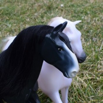 Весна, любовь...