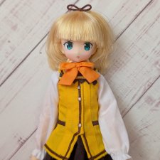 Аутфит от Azone doll 1/6