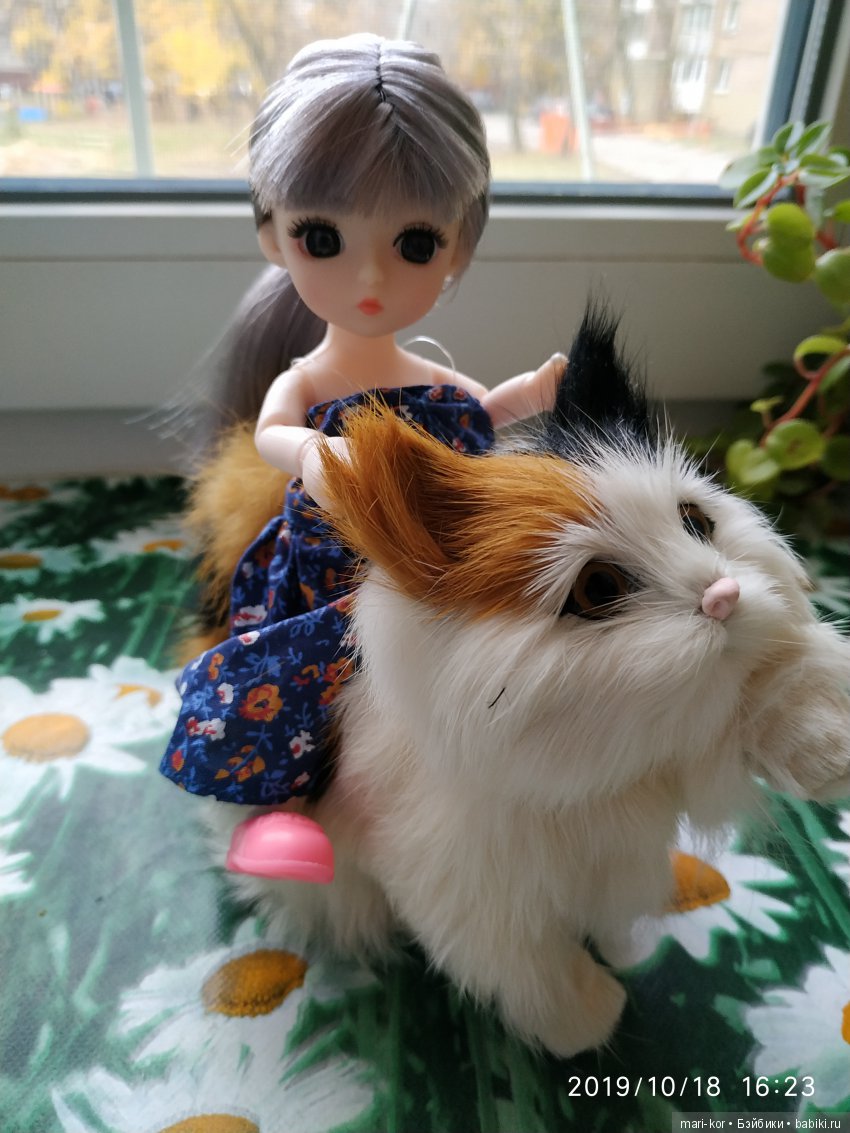 Новая жительница -малышка-баболишка. Знакомство и совместные фото Баболи и Ксяоми Монст (фото 6)