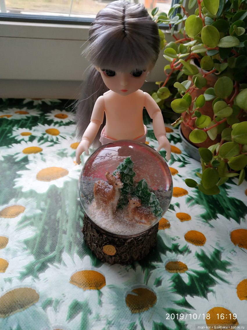 Новая жительница -малышка-баболишка. Знакомство и совместные фото Баболи и Ксяоми Монст (фото 4)