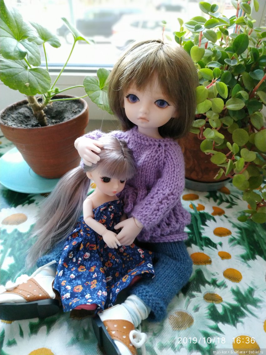 Новая жительница -малышка-баболишка. Знакомство и совместные фото Баболи и Ксяоми Монст