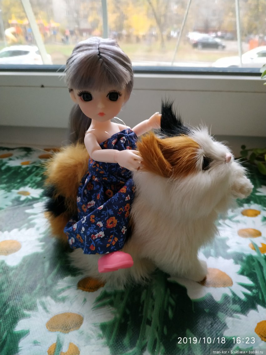 Новая жительница -малышка-баболишка. Знакомство и совместные фото Баболи и Ксяоми Монст (фото 7)