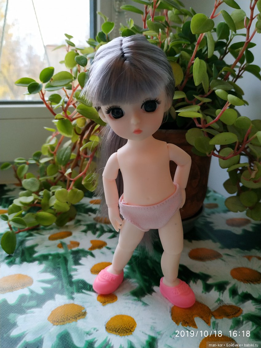 Новая жительница -малышка-баболишка. Знакомство и совместные фото Баболи и Ксяоми Монст (фото 3)