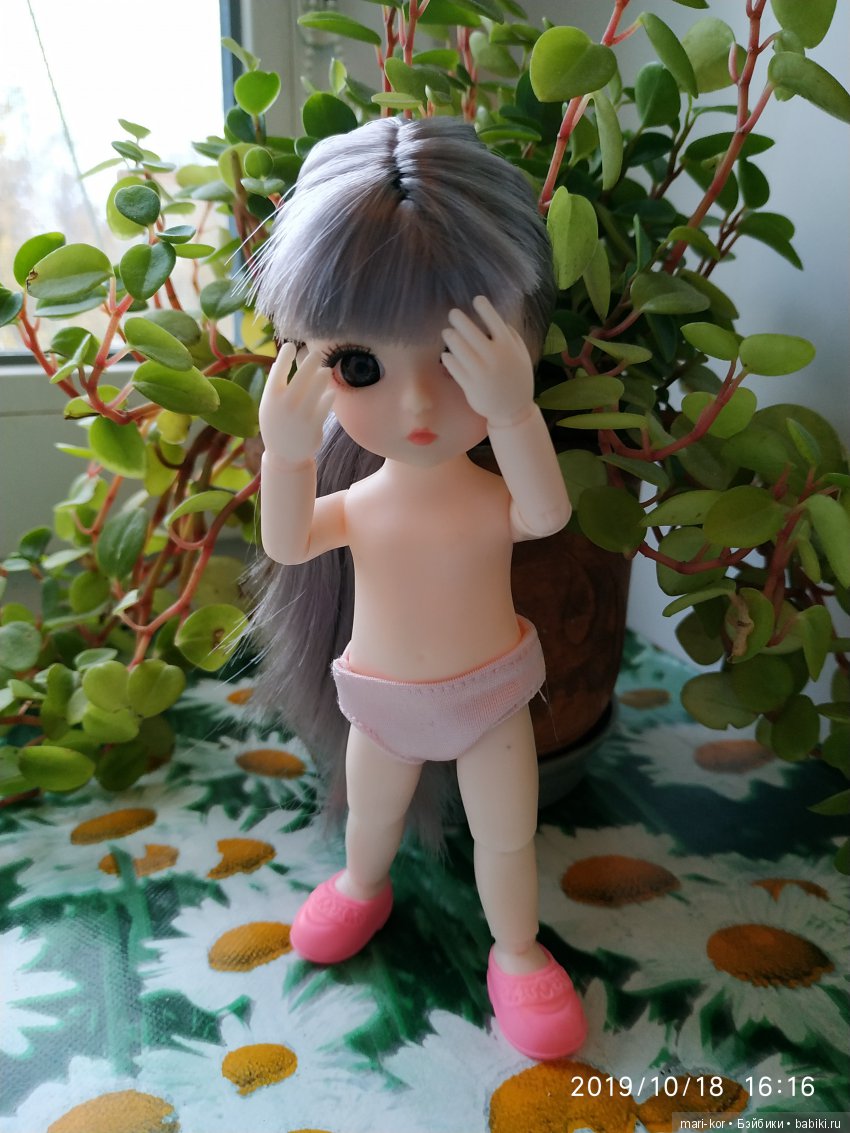 Новая жительница -малышка-баболишка. Знакомство и совместные фото Баболи и Ксяоми Монст (фото 2)