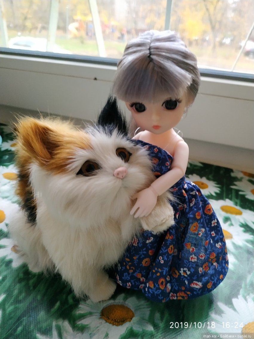 Новая жительница -малышка-баболишка. Знакомство и совместные фото Баболи и Ксяоми Монст (фото 5)