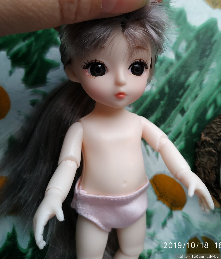 Новая жительница -малышка-баболишка. Знакомство и совместные фото Баболи и Ксяоми Монст