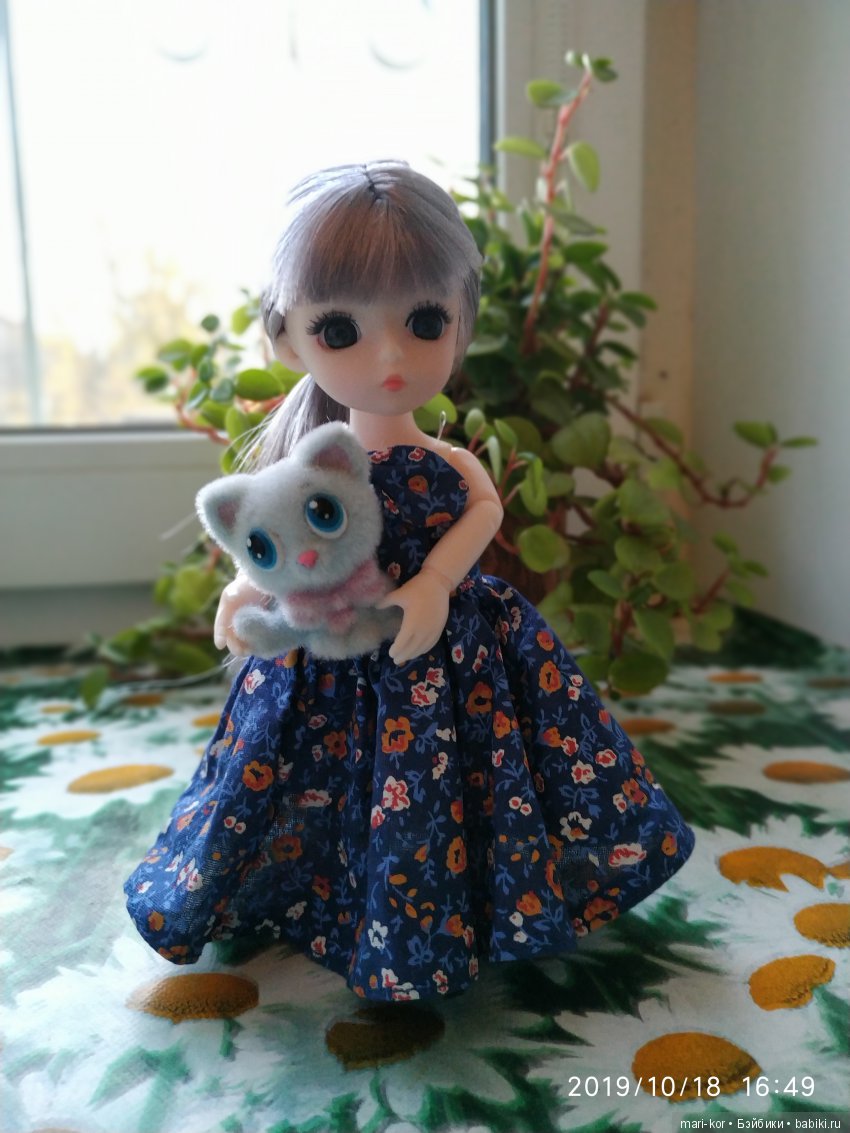 Новая жительница -малышка-баболишка. Знакомство и совместные фото Баболи и Ксяоми Монст