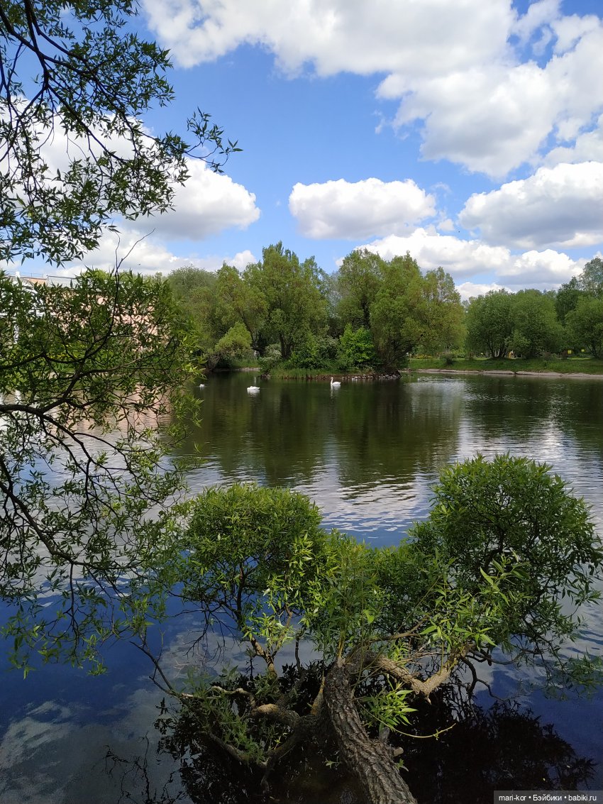 Прогулка в Ботаническом саду