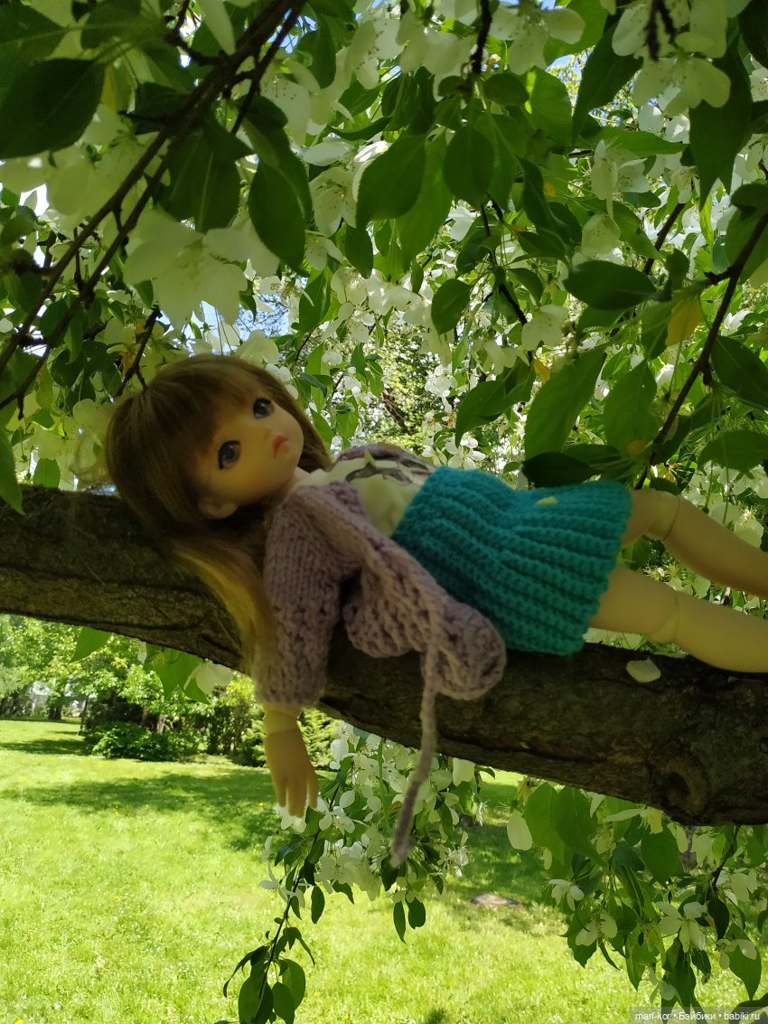 Прогулка в Ботаническом саду