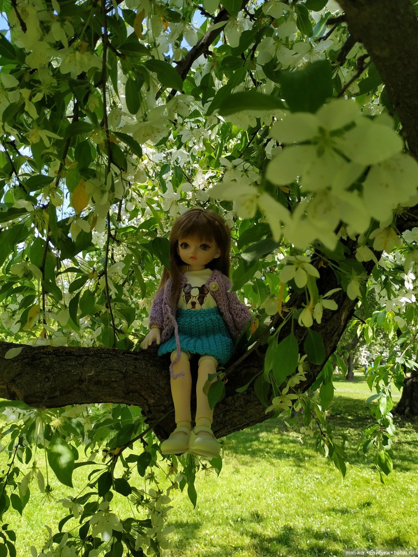 Прогулка в Ботаническом саду (фото 8)