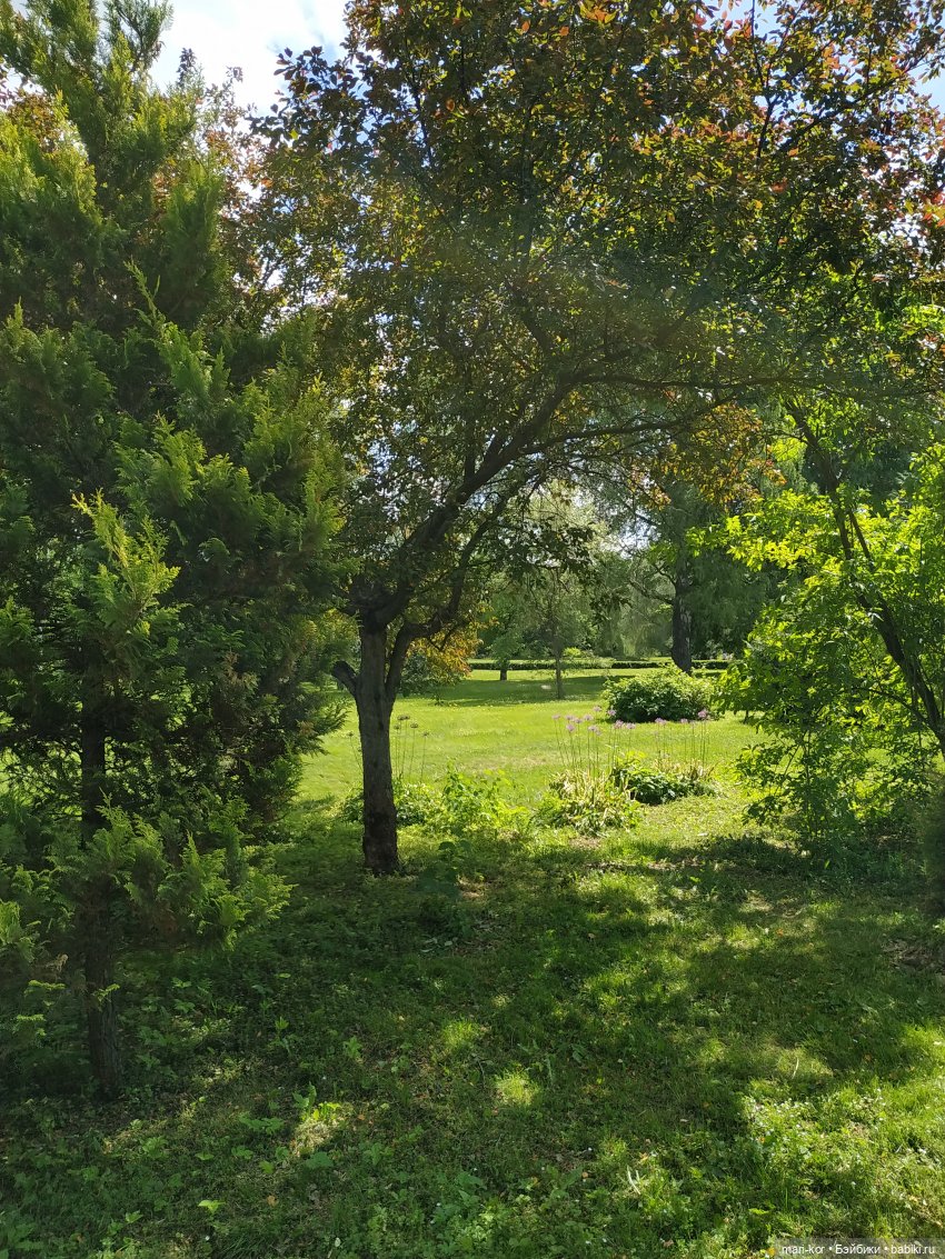 Прогулка в Ботаническом саду