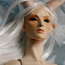 Газель. Фото