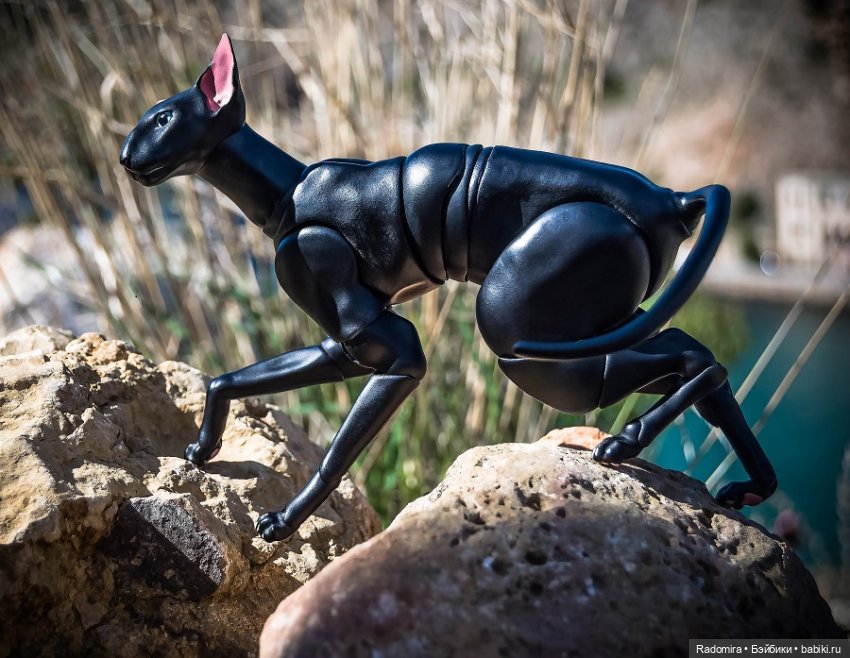 Недопокорители Чембало — Куклы Fairyland (ФэйриЛэнд): BJD (БЖД) (фото 3)