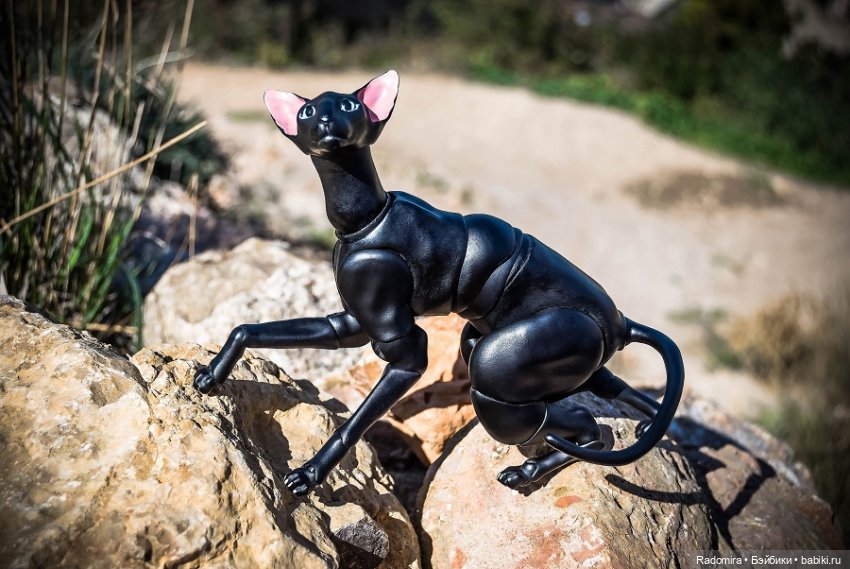 Недопокорители Чембало — Куклы Fairyland (ФэйриЛэнд): BJD (БЖД) (фото 4)