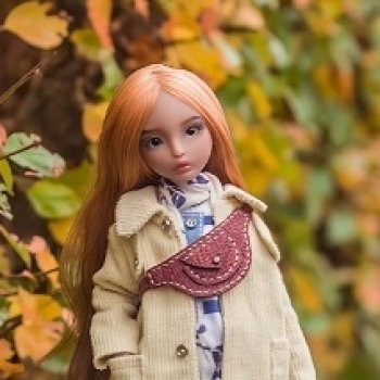 Осенние туманы